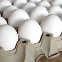 تخم مرغ هر شانه 155|خوردنی و آشامیدنی|زنجان, |دیوار