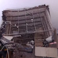 لامپ ال ای دی حبابش هرکس خریدار زنگ بزنه زودی