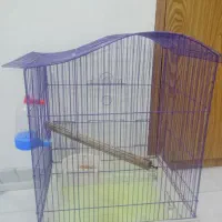 قفس پرنده