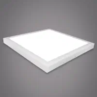پنل روشنایی ۶۰×۶۰ روکار و توکار ۲ درایو