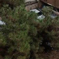 ولیعصر توانیر/180+۱۳متر طبقه سوم/فول مجتمع