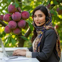 الو بخارایی ابدار و پربارده با ضمانت اقای نهال