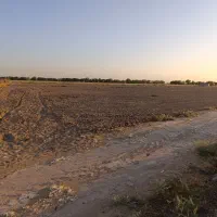 فروش زمین کشاورزی و باغچه در بویری شبانکاره|فروش دفتر صنعتی، کشاورزی، تجاری|شبانکاره, |دیوار