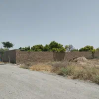 فروش زمین باغی شش دانگ از طریق مزایده دادگستری|فروش زمین و ملک کلنگی|مشهد, خلق آباد سفلی|دیوار