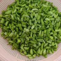 باقالا تازه