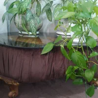 مبل راحتی 8 نفره|مبلمان خانگی و میز عسلی|کیاشهر, |دیوار