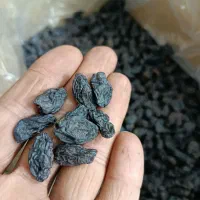 کشمش شانی سیاه