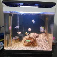 آکواریوم30×30