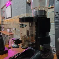 شو کیک / شو کیس