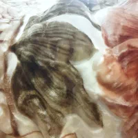 پتو نو آکبند سونی ژاپنی