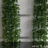 زمین ساختمانی اززمین های شیرمحمدی