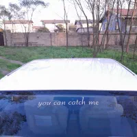 پارس سال|خودرو سواری و وانت|بندر انزلی, کلیور|دیوار