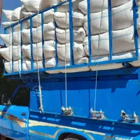 کاه سفید گندم درجه یک