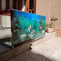 آکواروم ماهی