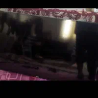 تی وی توافقی