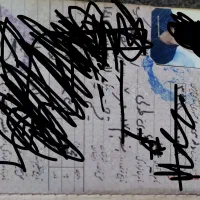 شناسنامه گم شده