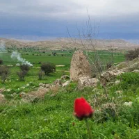 ثبت حال خوش بیرون رفتن