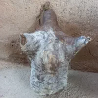 جا روغن نو
