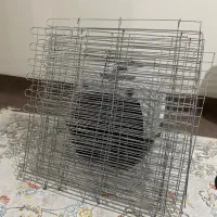داگ پارک پت