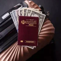 دیپلم فوق‌دیپلم‌ لیسانس تا دکترا