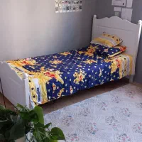 تخت یکنفره با تشک