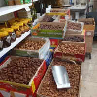 خرمای زاهدی امسالی درجه یک