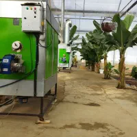 گلخانهکشتفلفلدلمه