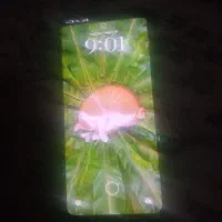 گوشی سیامی نوت ۱۴درحد نو|موبایل|تهران, عباس‌آباد|دیوار