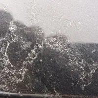 رفع فضله پرنده بصورت دائمی