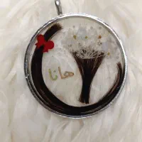 کارهای هنری رزین|صنایع دستی و سایر لوازم تزئینی|فلاورجان, |دیوار