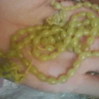 تسبیح شاه مقصود اصل