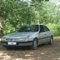پژو 405 GLX - دوگانه سوز CNG، مدل ۱۳۸۹