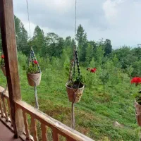 طبیعتگردی دست جمعی