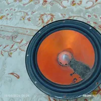 ساب کی دی انس