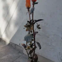 آباژورقدیمی فلزی خوشگل|چراغ خواب و آباژور|سیرجان, |دیوار