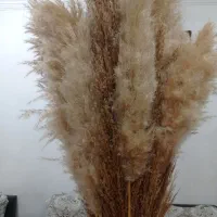 گل و گلدان لوکس|گل مصنوعی|رشت, حمیدیان|دیوار