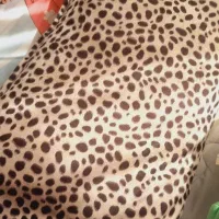 تشک و بالشت پنبه ایی|رختخواب، بالش، پتو|اهواز, فاز ۲ پادادشهر|دیوار