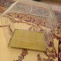 قفس پرنده در حد