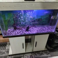 آکواریوم آب شیرین