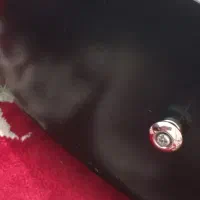 گیتار کلاسیک آموزشی|گیتار، بیس، امپلیفایر|دزفول, |دیوار