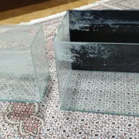 آکواریوم و لوازم آکواریوم