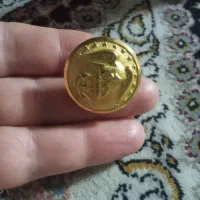دکمه کلکسیونی