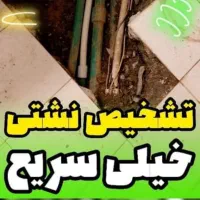 لوله کشی نشت یابی رفع نم و نشتی با دستگاه|خدمات پیشه و مهارت|پرند, فاز ۱|دیوار