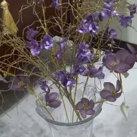 گل کریستالی