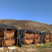داربست فلزی