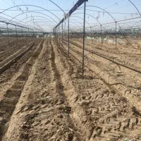 کارگر دائم برای گلخانه