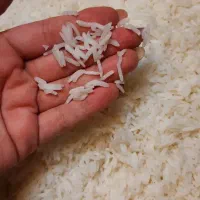 برنج هاشمی|خوردنی و آشامیدنی|تهران, سبلان (لشگر)|دیوار