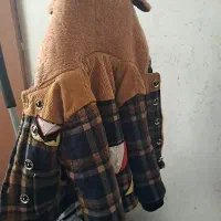 کاپشن داخل خز دار