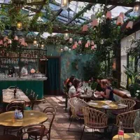 استخدام باریستا