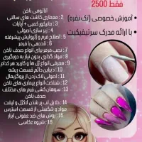 اموزش کلاس خصوصی کاشت ۲/۵۰۰